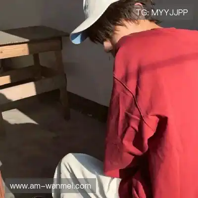 晏清飚